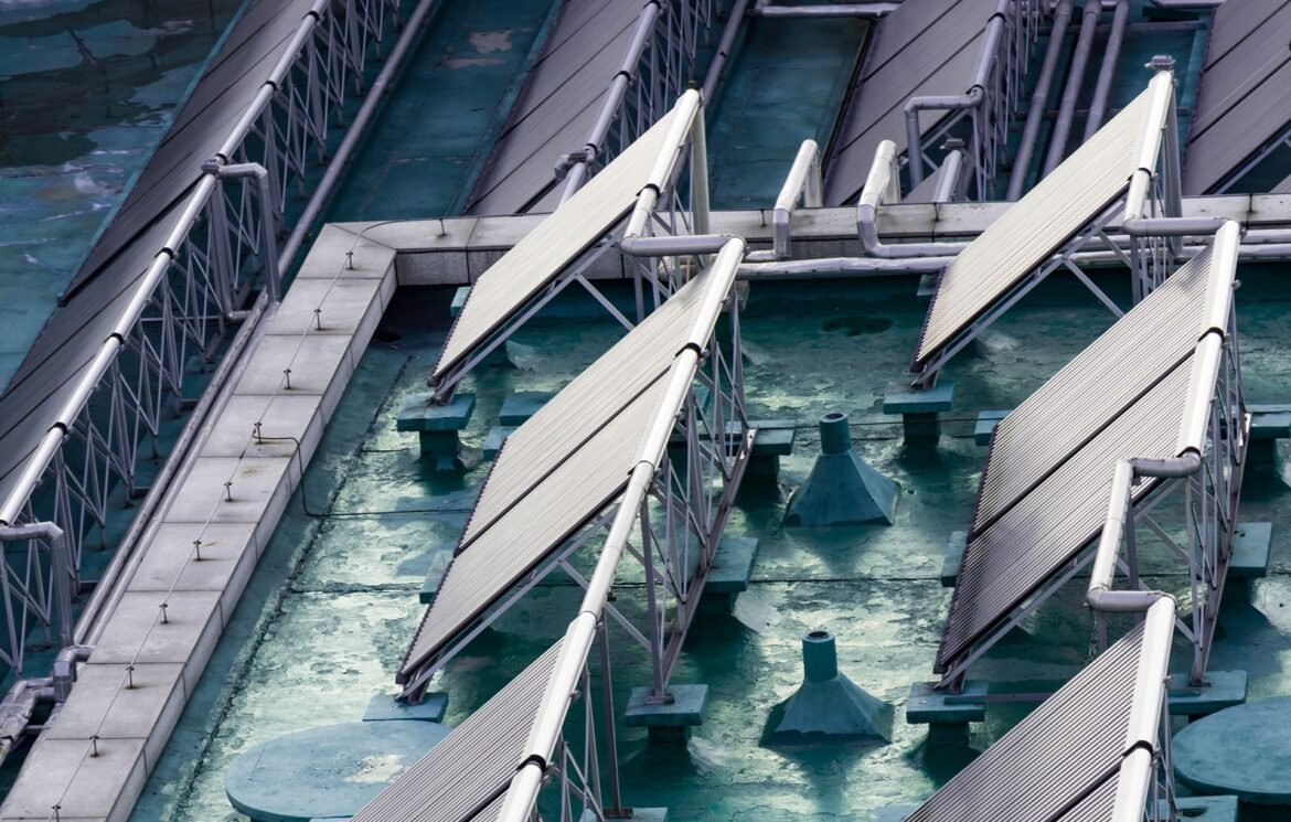 ecology-sunny-summer-global-alternative ecology-sunny-summer-global-alternative